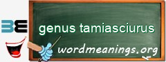 WordMeaning blackboard for genus tamiasciurus